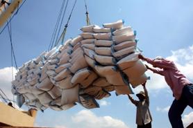 Vietnam maintains its position as number 1 rice exporter to the Philippines after 10 months