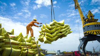 No Vietnamese rice is named in the list of the grain recently seized by Swedish authorities on suspicion of quality fraud