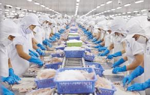 Vietnam's exports to the UK increase sustainably after UKVFTA taking effective
