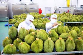 Bringing Vietnamese fruits and vegetables deeper into the Chinese market