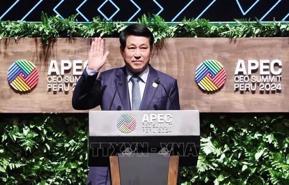 State President Luong Cuong attends APEC CEO Summit 2024    