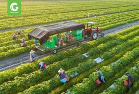 Vietnamese firms enjoy advantages to boost export to EU