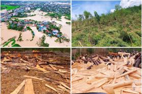 Vietnam needs financial and insurance strategies to mitigate disaster impacts