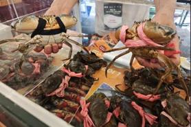 Exports of crabs and shellfish continue upward trend
