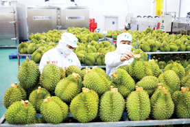 Fruit and vegetable export to China expected to hit $5 bln in 2024