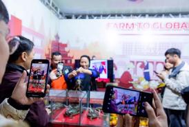 Livestream sẽ là tâm điểm của Online Friday 2024
