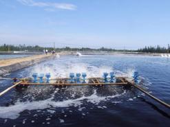 Green practices should be prioritized for sustainable fisheries