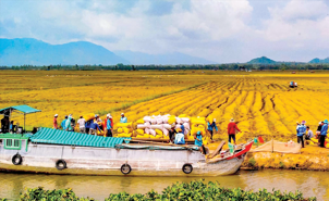 Giải bài toán nguồn vốn để đánh thức “vùng đất chín rồng”