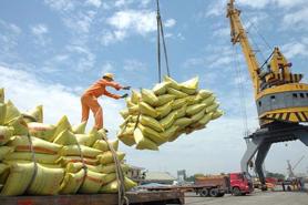 Rice export revenue hits new record of $5.05 bln