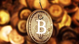 Những trò lừa đảo cũ "hiện hình" trong một thị trường Bitcoin leo đỉnh liên tục 