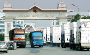 China remains key market for Vietnam's agricultural products