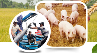Agro-forestry-fishery exports set new record in 11M