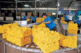 11M rubber exports fetch $2.95 bln 