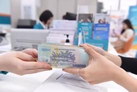 HCM City credit sees double-digit growth in November