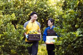 Vietnam Post unveils e-commerce platform to promote high-quality agricultural products
