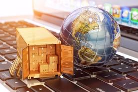 Huge potential for Vietnamese goods to China via e-commerce