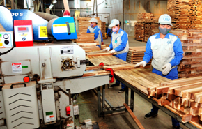 Vietnam's wood export revenue to China estimated at $1.88 bln this year