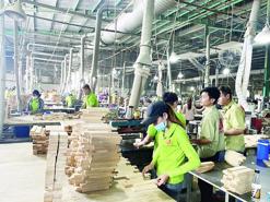 Vietnam's 2024 forestry export revenue estimated at $17.3 bln 