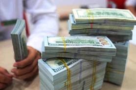 Remittance inflows reach $230 bln in two decades