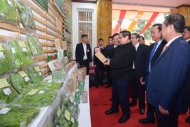 PM sets agricultural export value of $70 bln for 2025 