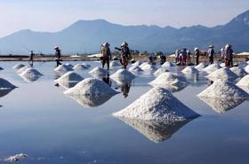 Traditionally-produced salt of Vietnam