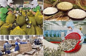 PM targets $100 bln in agro-forestry and fishery export in 2025 