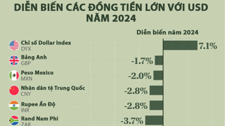 Biến động tỷ giá các đồng tiền lớn so với USD năm 2024