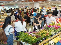 Vietnam's 2024 retail & consumer services revenue up 9%