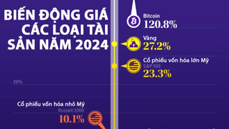 Biến động giá các loại tài sản trong năm 2024