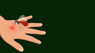 Vì sao cần đề phòng dịch sốt rét xuất hiện trở lại?