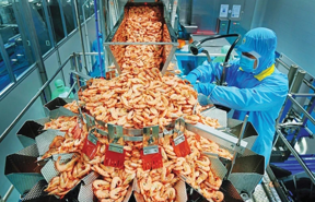 Vietnam shrimp exports hit $4 bln on rebounding demand