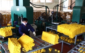 Ruber sector exports hit record high of $10.2 bln