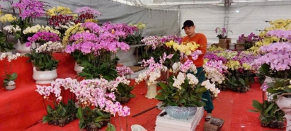Spring trade fair opens in Hanoi