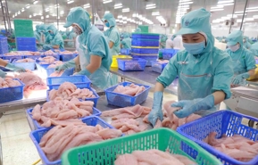Vietnam-Russia two-way trade reaches $4.59bln in 2024
