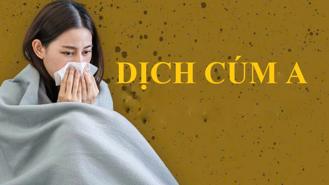 Dịch cúm A diễn biến phức tạp trên toàn cầu