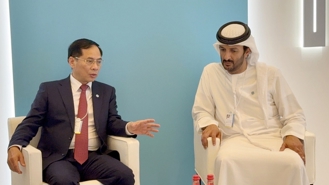 Comprehensive Economic Partnership Agreement between Vietnam and UAE suggested to be ratified in Q1, 2025