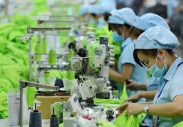 Vietnam to promote sustainable trade exchanges with EU
