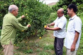 Vietnam aims to support 1,200 elderly entrepreneurs by 2030