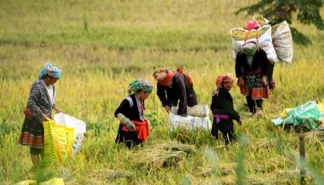 New criteria for identifying low-income workers issued