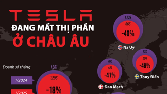 Tesla mất một nửa thị phần ở châu Âu chỉ trong một năm