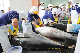  New challenges to tuna exports  