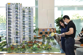 Bài toán khó cho người mua nhà