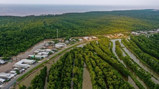 Ca Mau embarks on green carbon credit project to boost green energy ambitions