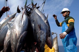 Seafood exports at risk in the US market
