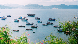 Tái thu phí tham quan vịnh Nha Trang