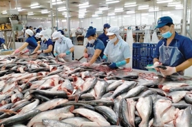 More opportunities for Vietnam's exports to New Zealand 
