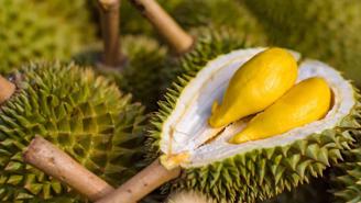 Cảnh giác trước tình trạng giả mạo thương hiệu nông sản