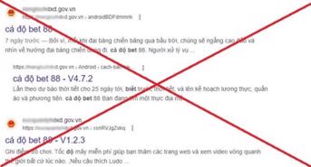 Phát hiện nhiều website cơ quan nhà nước bị chèn link quảng cáo cờ bạc