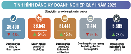 Quý 1/2025: Số doanh nghiệp thành lập mới giảm nhẹ, số doanh nghiệp tái gia nhập thị trường tăng mạnh