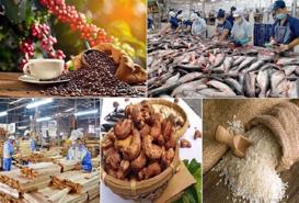 Có 15 ngân hàng tham gia gói tín dụng 100 nghìn tỷ đồng cho lĩnh vực nông, lâm nghiệp và thủy sản